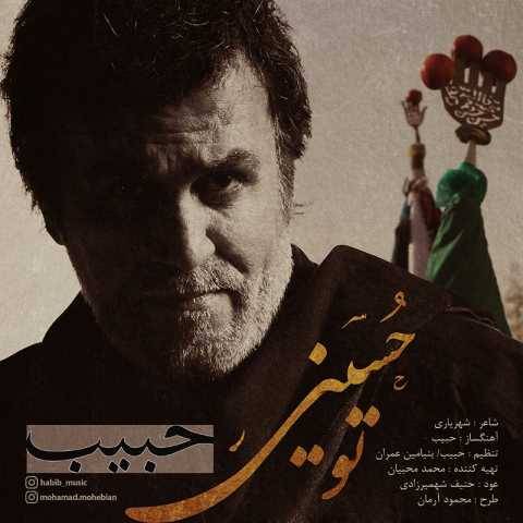 دانلود آهنگ جدید حبیب تو حسینی