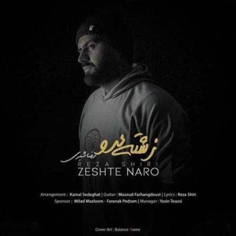 دانلود آهنگ جدید رضا شیری زشته نرو